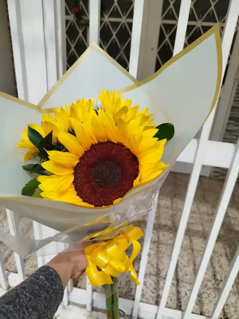 Ramo O Bouquet Girasoles