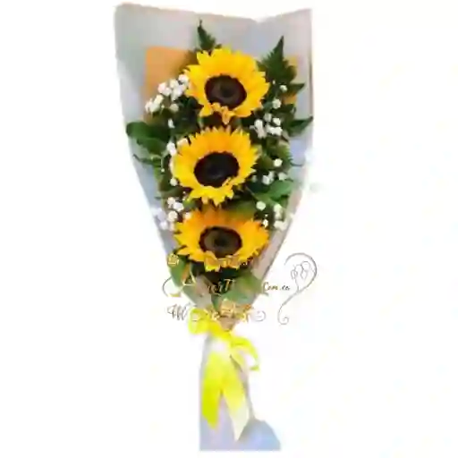 Rayo De Sol Flores En Cali