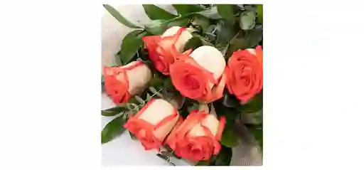 Ramillete De 6 Rosas