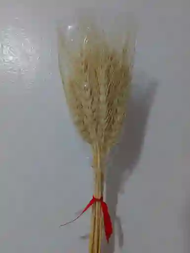 Espiga De Trigo