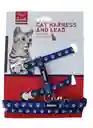 Pets And Toys Cat Arnes