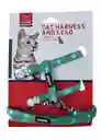 Pets And Toys Cat Arnes