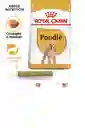 Royal Canin Poodle X1.5kl