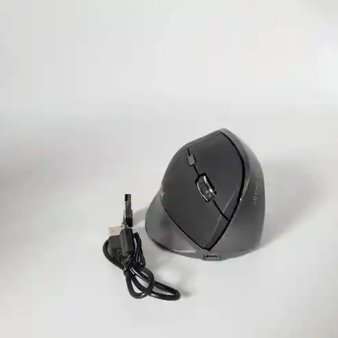 Mouse Ergonomico Jr