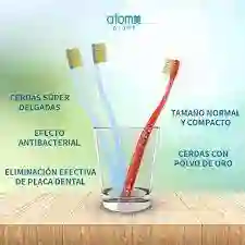 Atomy Cepillo Dental