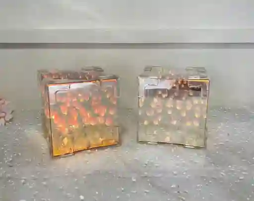 Tulipanes Eternos