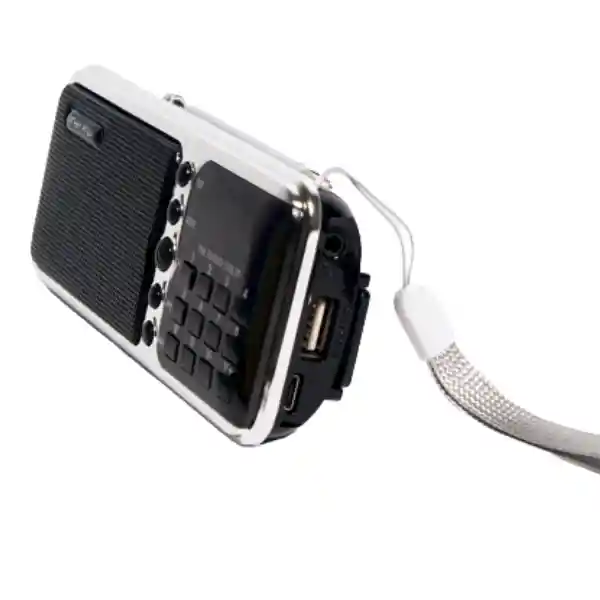 Radio Bolsillo Usb Fm| Am Recargable Teclado Premium Haoning Hn-s362led