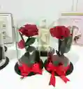 Rosa Preservada Premium Disponible Roja, Blanca, Rosada, Dorada, Amarilla, Negra