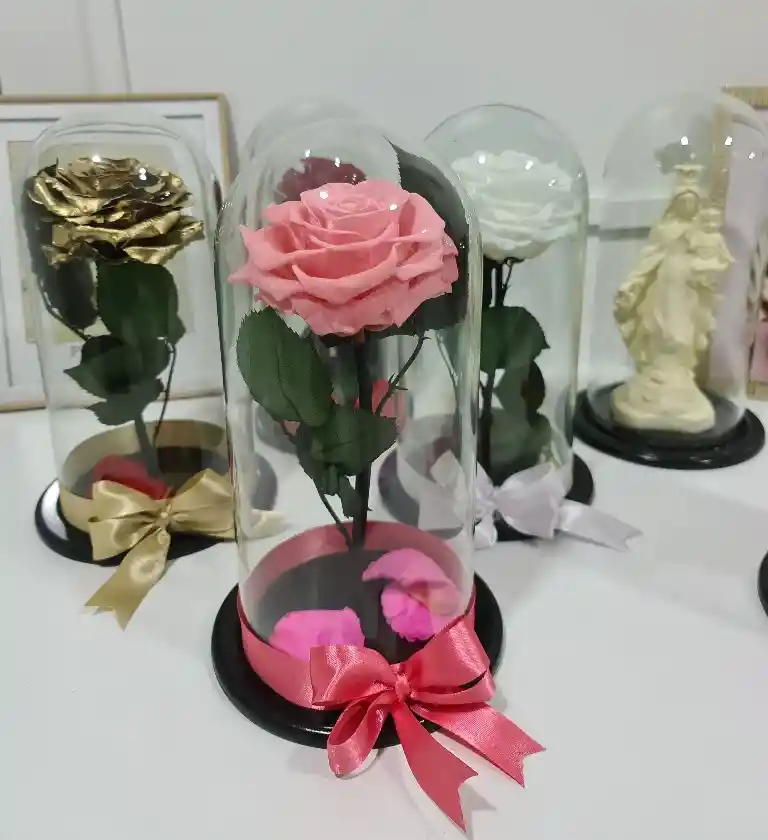 Rosa Preservada Premium Disponible Roja, Blanca, Rosada, Dorada, Amarilla, Negra