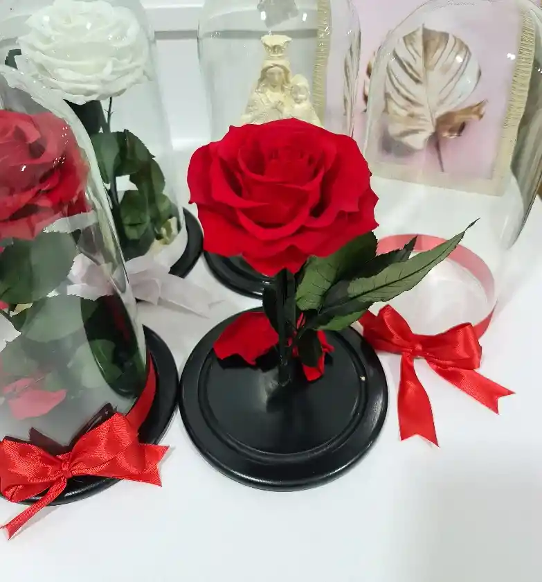 Rosa Preservada Premium Disponible Roja, Blanca, Rosada, Dorada, Amarilla, Negra