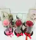 Rosa Preservada Premium Disponible Roja, Blanca, Rosada, Dorada, Amarilla, Negra