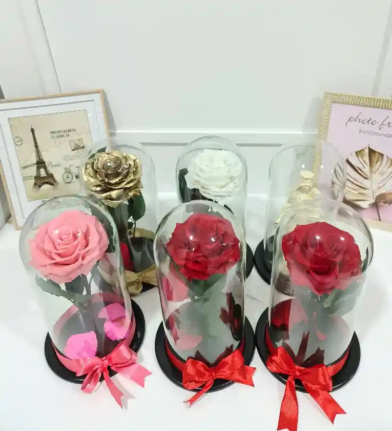 Rosa Preservada Premium Disponible Roja, Blanca, Rosada, Dorada, Amarilla, Negra