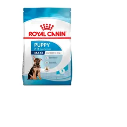 Royal Canin Alimento Para Perros Maxi Puppy