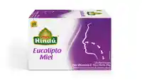 Infusión Saludable Eucalipto Y Miel X20
