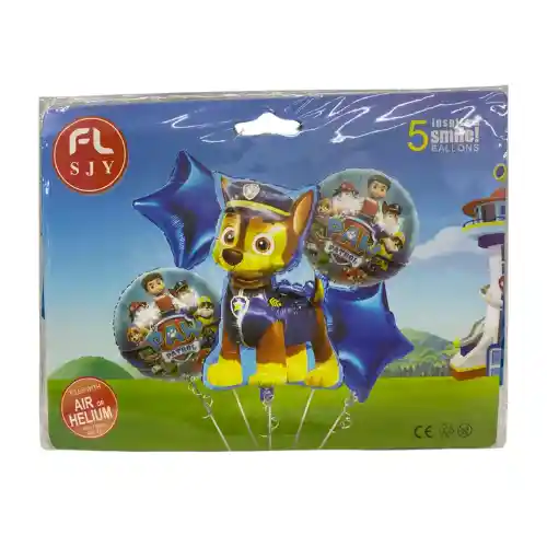 Buquet Paw Patrol Shane 5 Piezas