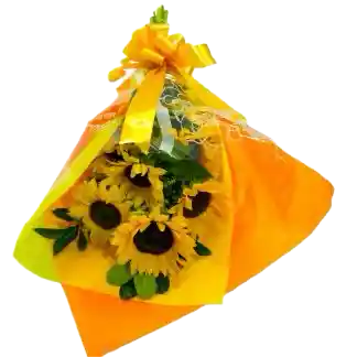 Girasoles Mini