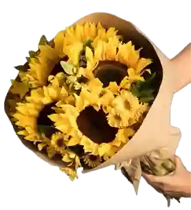 Bouquet De 4 Girasoles