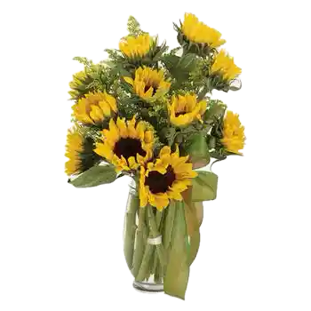 Bouquet De 12 Girasoles En Ramo