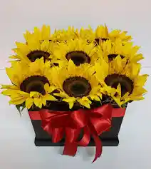 Caja Cuadrada De Girasoles