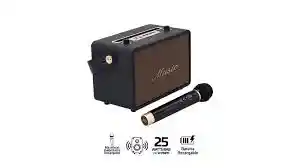 Parlante Retro Vta Con Microfono 25w