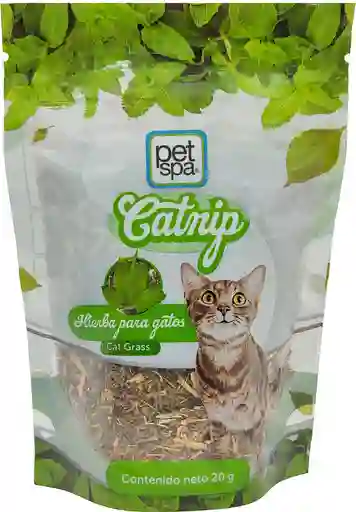 Cat Nip Hierba Para Gato X 20 Gr