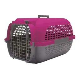 Guacal Dog It, Base Gris O Y Tp Fucsia M