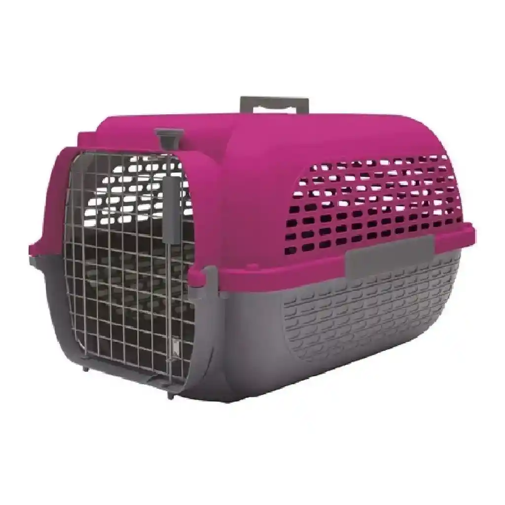 Guacal Dog It, Base Gris O Y Tp Fucsia M