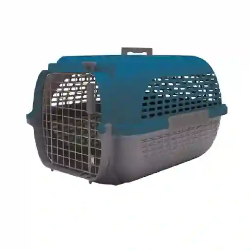 Guacal Dog It, Base Gris O Y Tapa Azul M