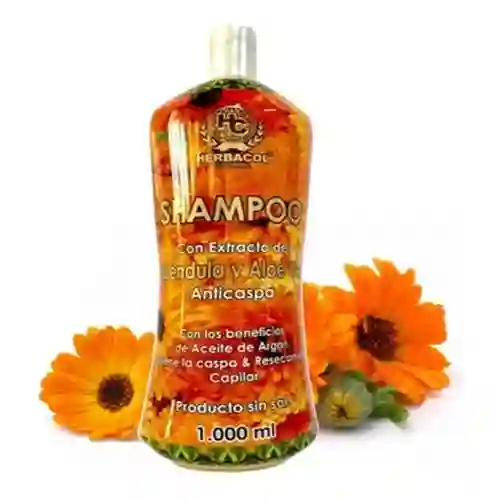 Shampoo Calendula Y Aloe Vera Anticaspa Litro Herbacol