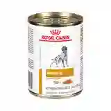 Royal Canin Perro Lata Urinary X 380 Gr