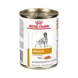 Royal Canin Perro Lata Urinary X 380 Gr