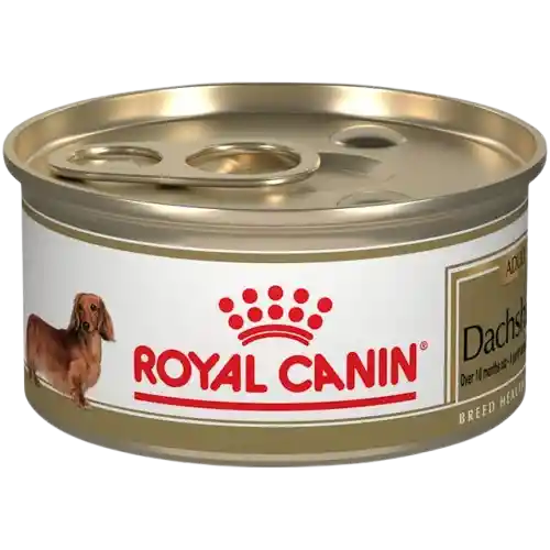 Royal Canin Dachshund Lata 85 Gr