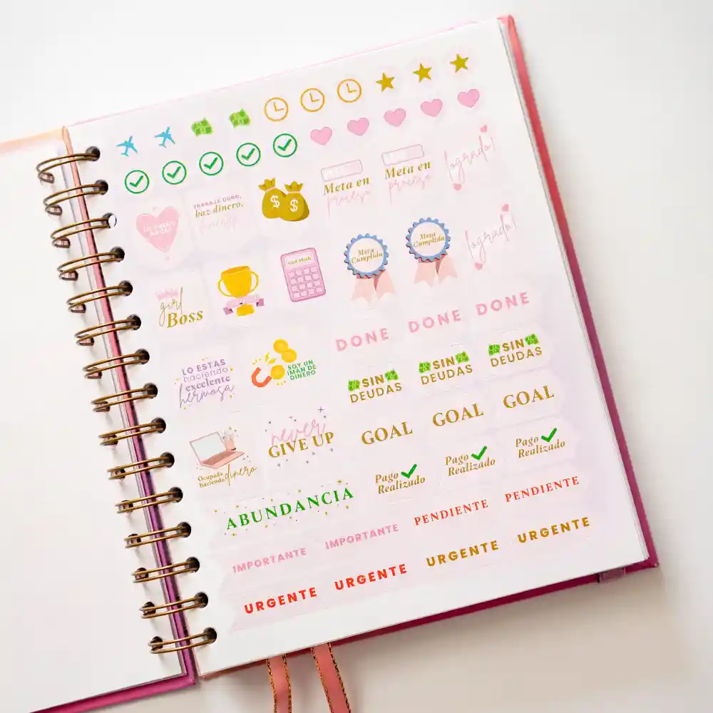 Cuaderno Mi Diario Planner/ Diario Para Trabajadoras