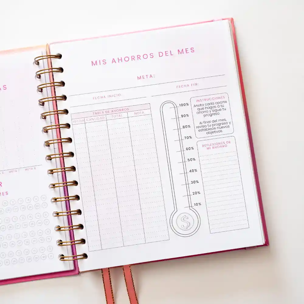 Cuaderno Mi Diario Planner/ Diario Para Trabajadoras