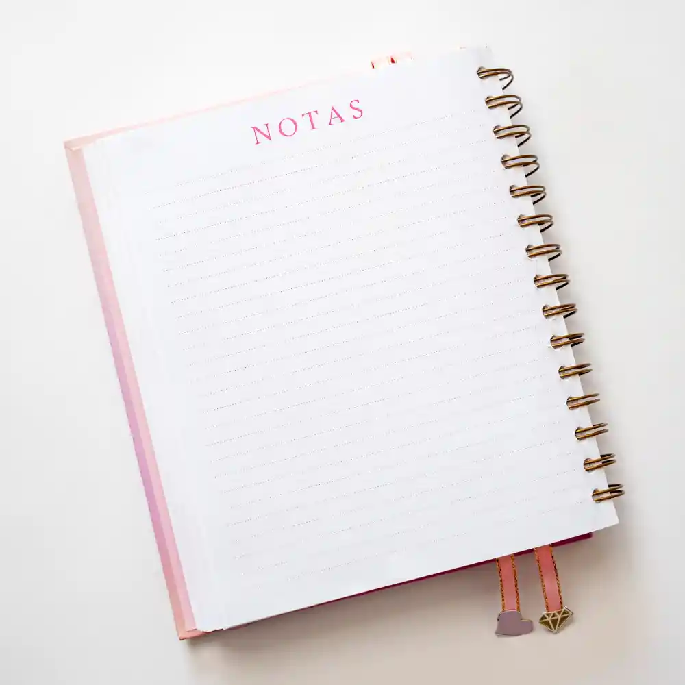 Cuaderno Mi Diario Planner/ Diario Para Trabajadoras
