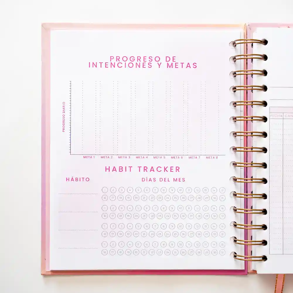 Cuaderno Mi Diario Planner/ Diario Para Trabajadoras