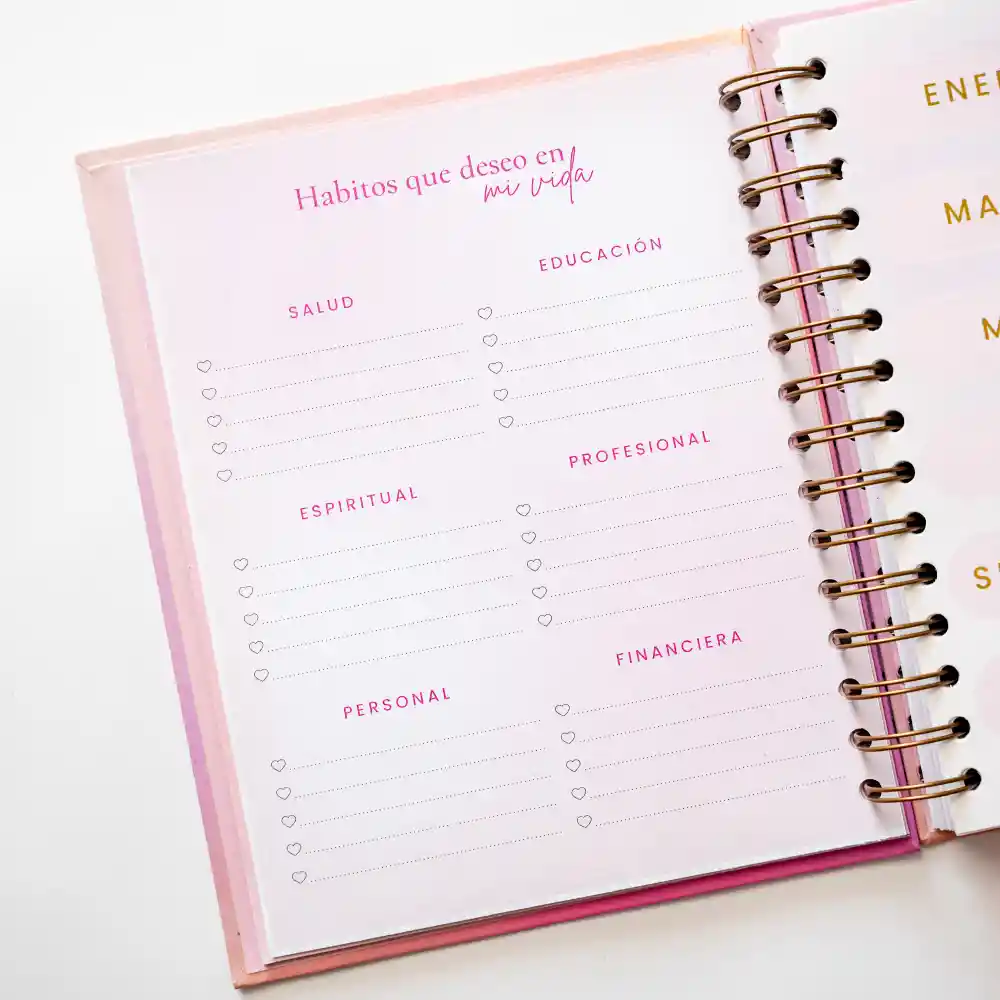 Cuaderno Mi Diario Planner/ Diario Para Trabajadoras