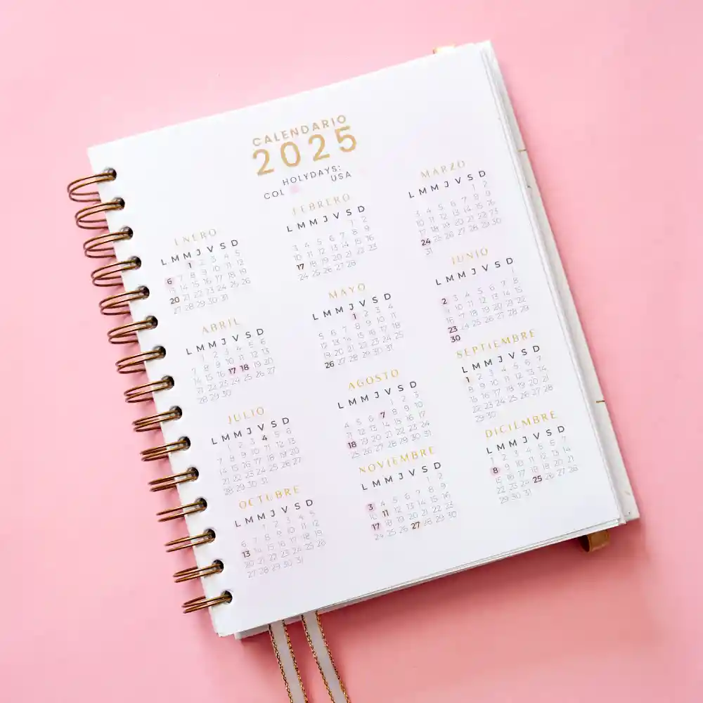 Cuaderno – Mi Diario Financiero Para Emprendedoras