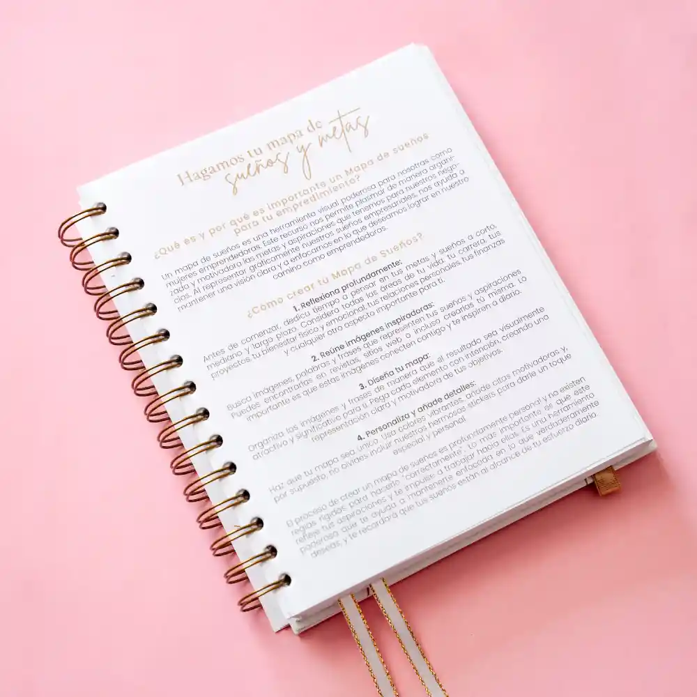 Cuaderno – Mi Diario Financiero Para Emprendedoras