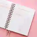 Cuaderno – Mi Diario Financiero Para Emprendedoras
