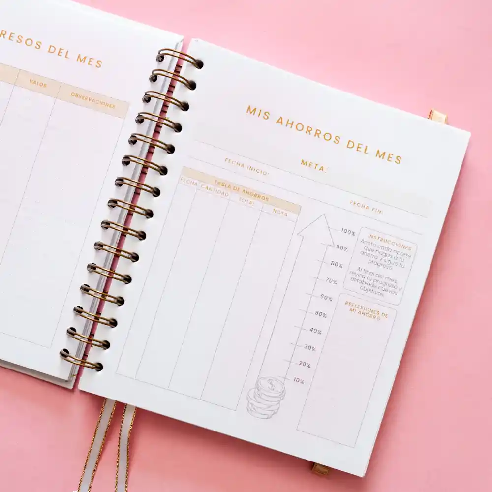 Cuaderno – Mi Diario Financiero Para Emprendedoras