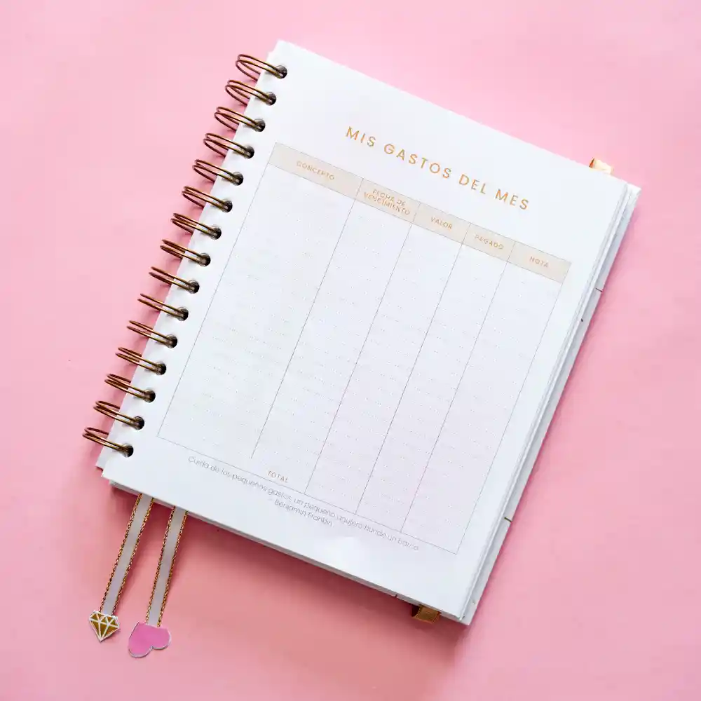 Cuaderno – Mi Diario Financiero Para Emprendedoras