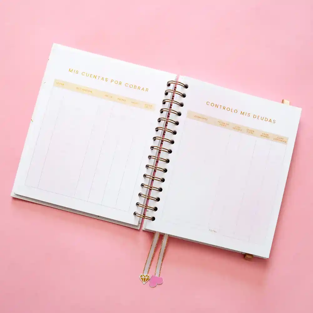 Cuaderno – Mi Diario Financiero Para Emprendedoras