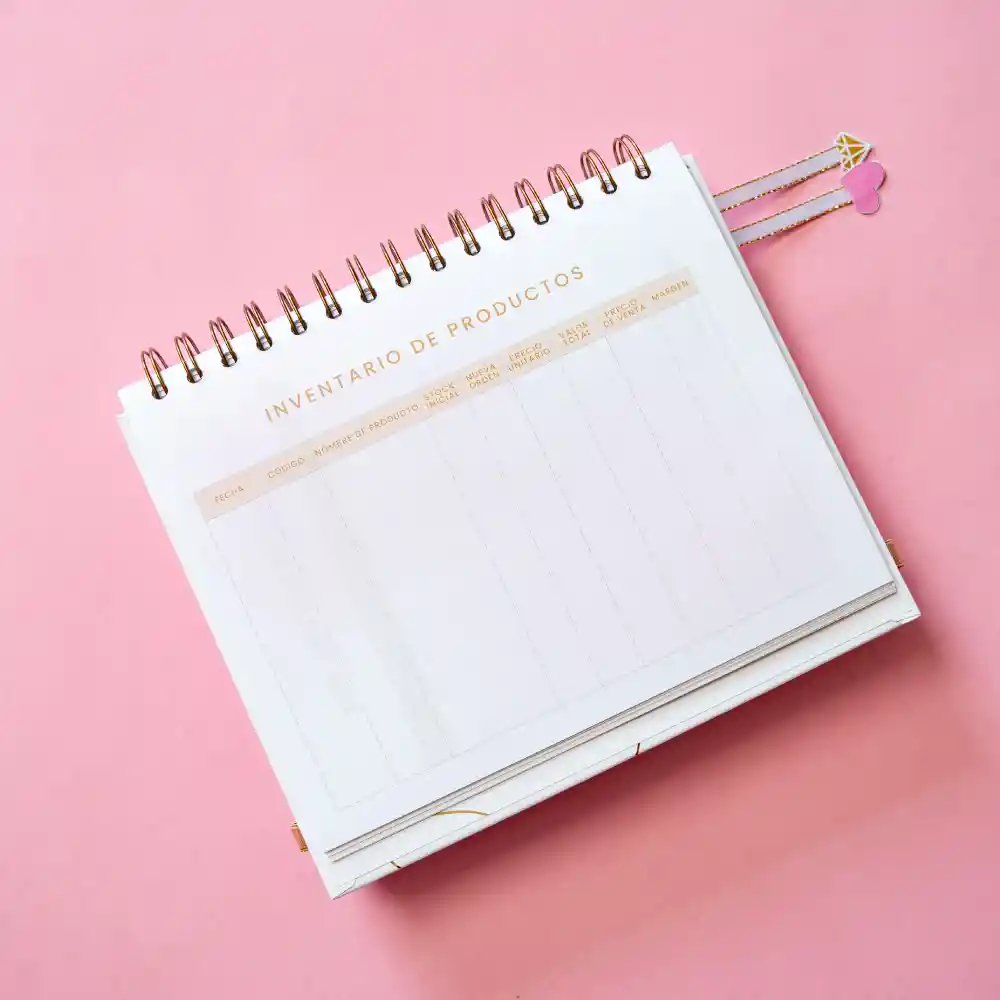 Cuaderno – Mi Diario Financiero Para Emprendedoras