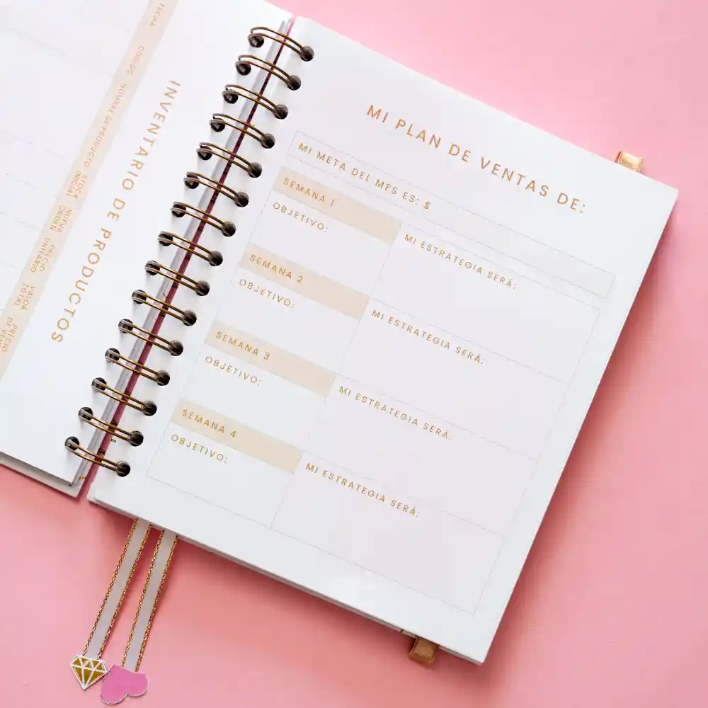 Cuaderno – Mi Diario Financiero Para Emprendedoras