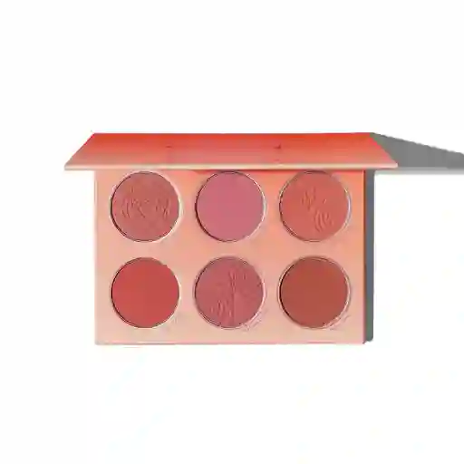 Paleta De Rubor Sheglam Floral Flush