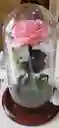 Rosa Preservada En Cupula Y Caja Sorpresa
