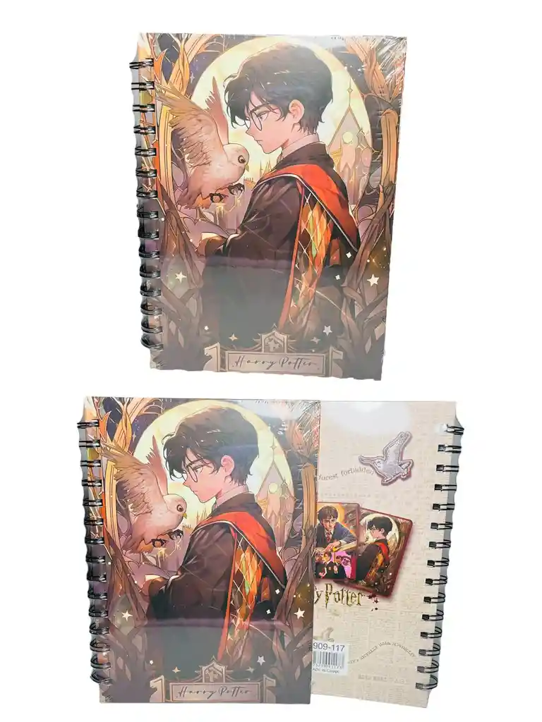 Agenda Tipo Cuaderno Cuadriculado Harry Potter Ref 3