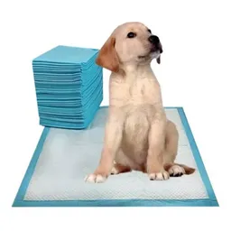 20 Tapetes Entrenamiento Absorbentes Para Mascota 60x90