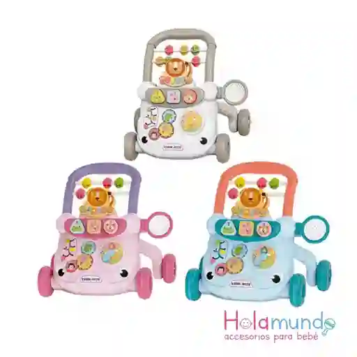 Andadera Musical Estimulante Y Didactica Azul, Rosado Y Gris